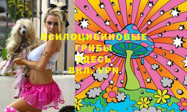 стафф Новозыбков