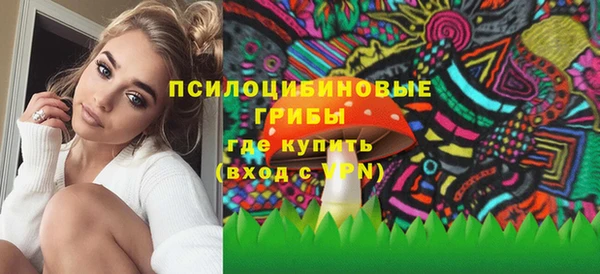 амф Алексин
