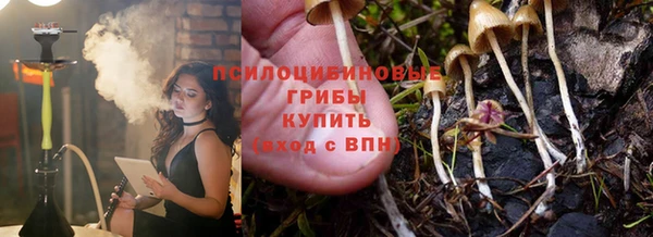 амф Алексин