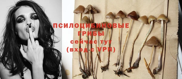 гашишное масло Новодвинск
