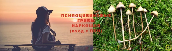 амф Алексин