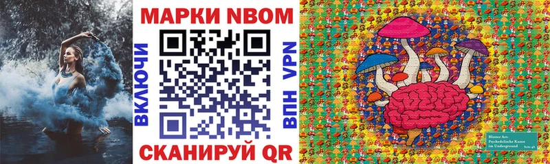 дарнет шоп Нововоронеж ссылка на мегу ТОР Наркотические марки 1500мкг
