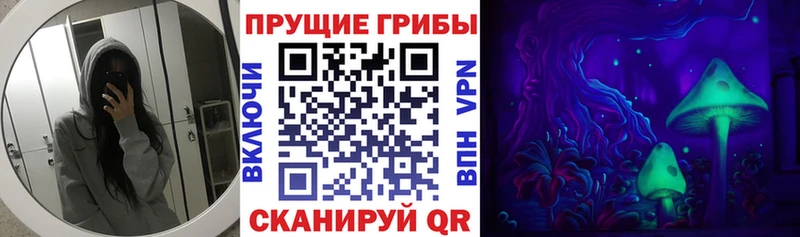 Галлюциногенные грибы ЛСД  Нововоронеж 